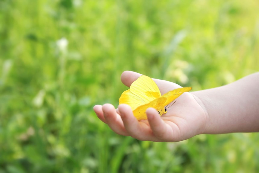 Een kind met een vlinder in de hand