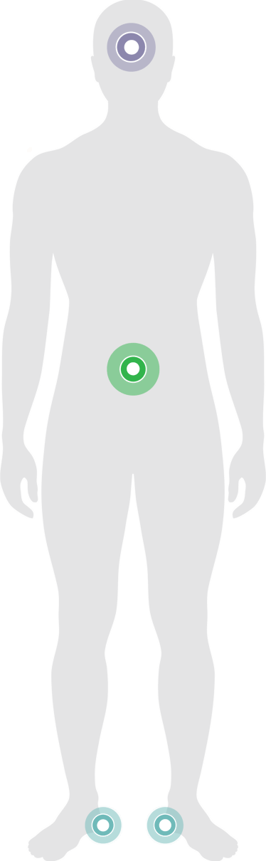 head to heel protection body