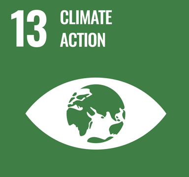 SDG13