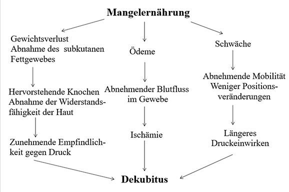 Mangelern&auml;hrung und Dekubitus